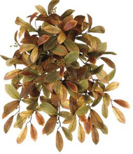 LAUREL HANGING BUSH x12  189L 21"