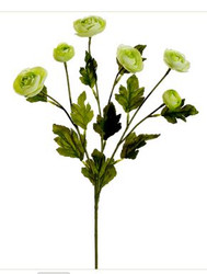 RANUNCULUS SPRAY 26" LM