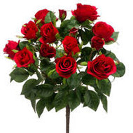 ROSE BUSH X 7 RED 15.5"