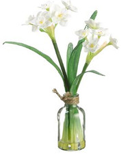 NARCISSUS IN GLASS VASE 11" WH