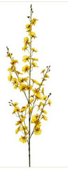 ONCIDIUM ORCHID SPRAY YE 40"