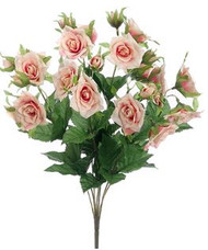 ROSE BUSH X8 PK/RO 17"