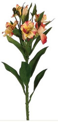 ALSTROMERIA 25" YE/PK