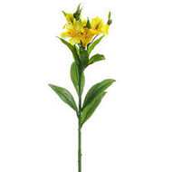 ALSTROMERIA YELLOW 25"