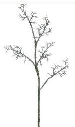 LICHEN BRANCH GR 49.5"