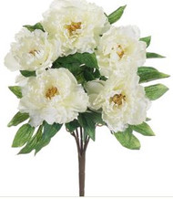 PEONY BUSH WHITE x5 18"