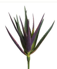 AGAVE PICK SOFT PE 17" GRN/PU