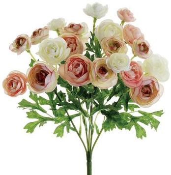 Shades of pink and Ivory Ranunculus Mini Bush 10.5 in. tall. Note; Coloring leans toward a soft coral rather than pink. Photo shows deeper coloring than actual.