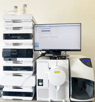Agilent G6130A MSD, 1260 Infinity UPLC Series with G1315B DAD Detector, and G4218A Infinity ELSD Detector.