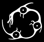 Inuit T-Shirt