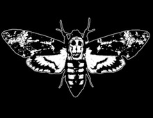 Death's-Head Hawkmoth T-Shirt