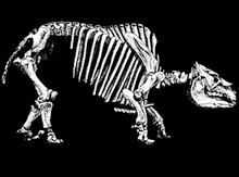 Toxodon Bones T-Shirt