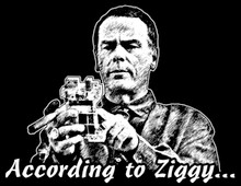 Ziggy T-Shirt
