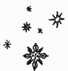 Snowflakes - 198H14