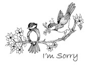 I'm Sorry Chickadees - 139A02
