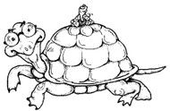 Turtle - 27A03