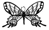 Butterfly - 79A05