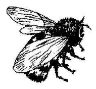 Bee - 40A01