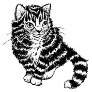 Striped Kitten Rubber Stamp - 70A07