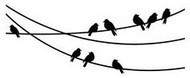 Birds on Wire Embossing Folder