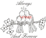 Always & Forever - 147W06