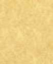 Ancient Gold Parchment Cardstock
