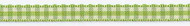 Green Apple & Cream Gingham Ribbon with Larger Checks