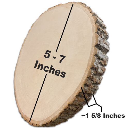 Wood Rounds - Natural Birch - Craft Dealz
