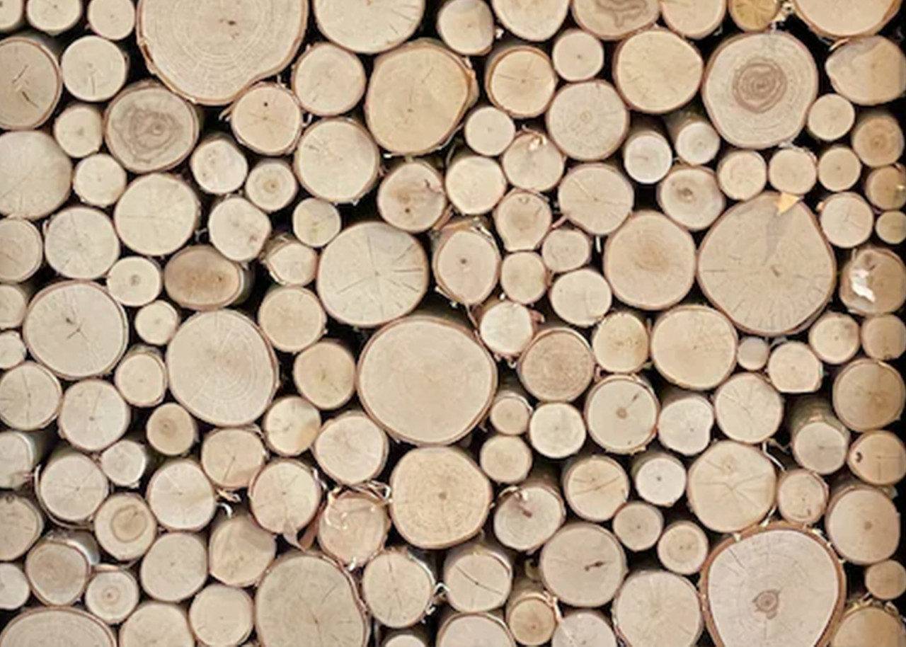 Wilson 8-9 Decorative White Birch Fill-A-Space Logs, Natural Home Décor -  1.5-4 Dia. (1 Sq. Ft) - Birch Logs