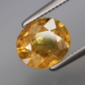 Natural Yellow Sapphire 7.7mm x 6.6mm Oval 1.97ct #PG4871