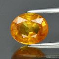 Natural Yellow Sapphire Oval 7.3mm x 6mm  1.51ct #PG5192