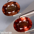 Color Change Garnet 6.3mm x 4.9mm Oval .95ct #AC0046 FREE SHIPPING