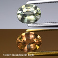 Color Change Sapphire 5.3mm x  4.5mm Oval No Heat.57ct #AC0095