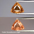 Color Change Garnet 7.8mm x 6.7mm Trillion 1.56ct #NL0008