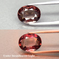Color Change Garnet 8mm x 6.3mm Oval 1.61ct