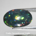 Natural Black Opal 11mm x 7mm Oval 1.55ct #NE0015