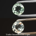 Natural Alexandrite .28ct Round Unheated 4mm #NE0037