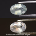 Natural Alexandrite  5.5mm x 3.7mm Oval .37ct #NE0038