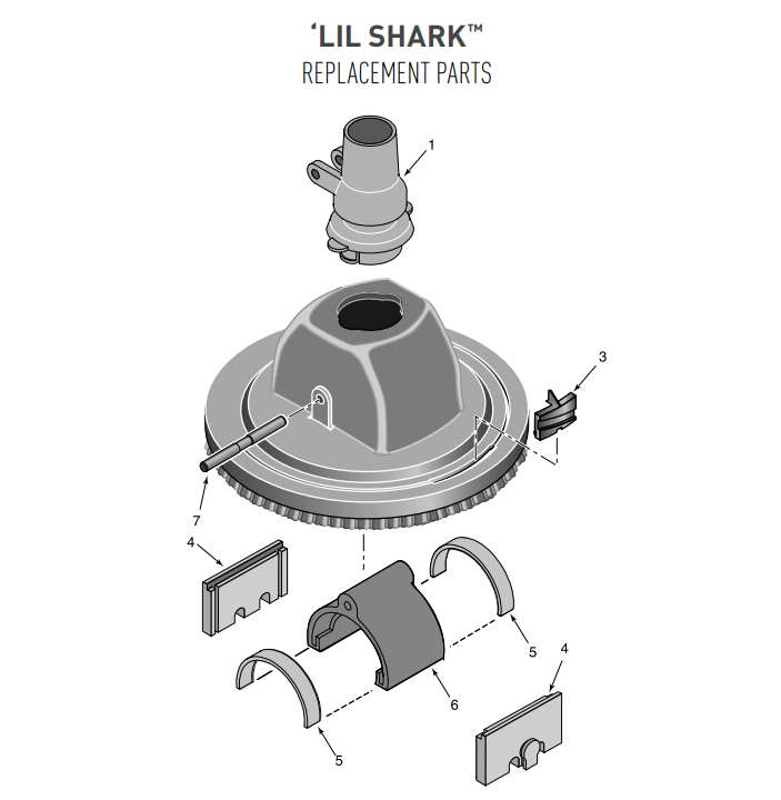 lil-shark-parts-breakdown.png