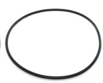 Waterco Hydrostorm Plus Pump Lid O-Ring (61214)