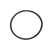 Chlorinator Cell Housing O Ring - Paramount