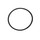 Chlorinator Cell Housing O Ring - Paramount