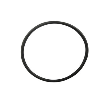 Crystal Clear Chlorinator Cell Housing O Ring