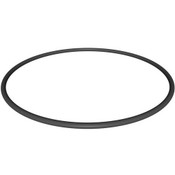 Hayward Starclear Plus Tank Oring