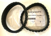 Astral S20 Pool Cleaner Tracks - Set of 2