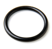 Poolrite S5000 /S6000 MK1 Stem Oring