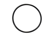 Pantera PSF31 Sand Filter Union Oring