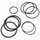 - Jandy CV, CL, DEL, DEV Filter Oring Replacement Kit