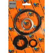 Neptune Sand Filters,  50mm Multiport Valve Spring Kit