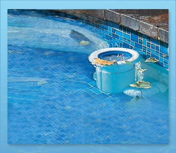 Pool Skim Pool Skimmer